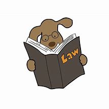 Image result for Animal Lawyer Cartoon