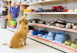 Image result for Dog Pet Shop Animals