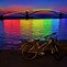 Image result for Pics of the Rainbow Bridge