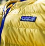 Image result for Patagonia Long Down Coat