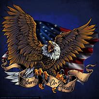 Image result for Patriotic Eagle Artwork