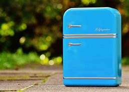 Image result for Mini Fridge with Ice Maker