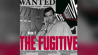 Image result for TV Program The Fugitive
