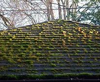 Image result for roof civiljungle