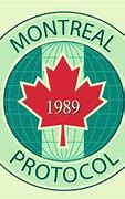 Image result for Dr. McCullough Protocol