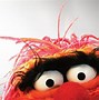 Image result for Muppets Wallpaper