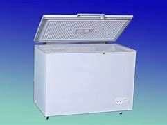 Image result for Commercial Ice Freezer