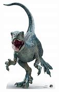 Image result for Jurassic World Velociraptor Raptor Baby Blue
