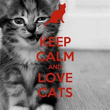 Image result for Keep Calm and Love Tabby Cats