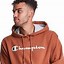 Image result for Champion PowerBlend Graphic Hoodie