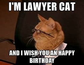 Image result for Funny Birthday Lawyer Dog