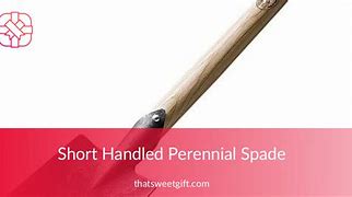 Image result for Gardener's Lifetime Perennial Spade With Short T-Handle
