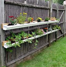 Image result for DIY Rain Gutter Planters On Fence