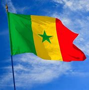 Image result for Drapeau Senegal