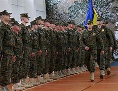 Image result for Bosnian Military Uniform