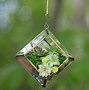 Image result for Hanging Flowers Ideas