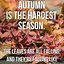 Image result for Short Quotes About Fall