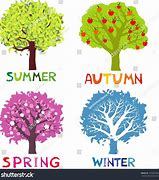 Image result for When winter ends: A guide to what happens during Monday’s spring equinox