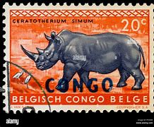 Image result for Belgian Congo Army