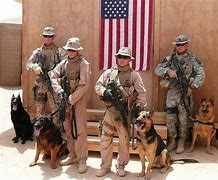 Image result for Working Dogs Military Heroes