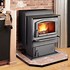 Image result for Electric Wood-Burning Stoves