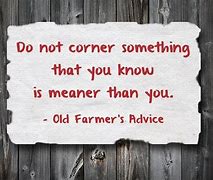 Image result for Wise Old Farmer Sayings