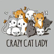 Image result for Crazy Cat Lady Cartoon