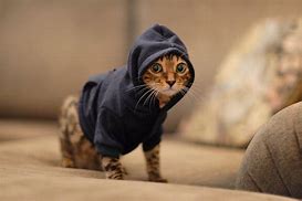 Image result for Heathered Hoodies