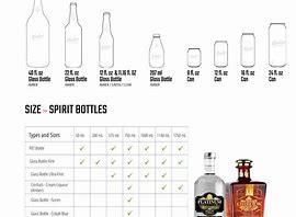 Image result for Beer Bottle Sizes