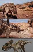 Image result for Discovery Channel Dinosaur Revolution