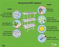 Image result for Hydroponics Pros and Cons