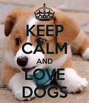 Image result for Keep Calm Wallpapers for Puppies