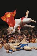 Image result for East Coast Cats Wrestlers