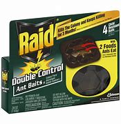 Image result for Raid Ant Control