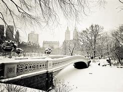 Image result for New York Central Park Snow
