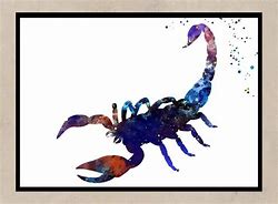 Image result for Scorpion Watercolor