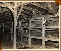 Image result for Buchenwald Barracks