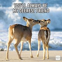 Image result for Besties Forever Funny