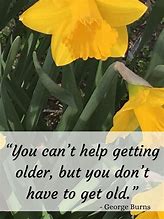Image result for Wise Quotes for Senior Citizen