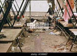 Image result for Sarajevo Massacre