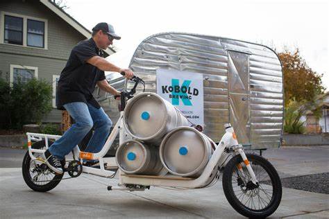 How Do You Hook up a Bicycle Trailer to an Electric Bike?