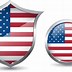 Image result for American Flag Shield