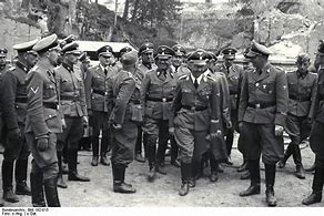 Image result for Heinrich Himmler Castle