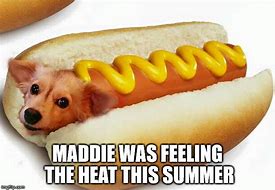Image result for Funny Hot Dog