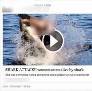 Image result for Women Shark Attack