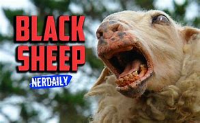 Image result for Zombie Sheep
