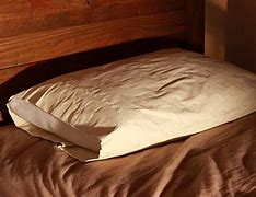 Image result for Soft Cushion
