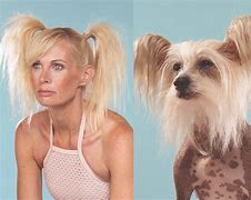 Image result for Pets Look
