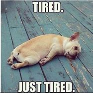 Image result for I'm Tired Funny Quotes