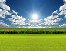 Image result for Clouds Sky Grass